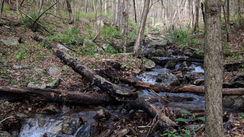 Mount Pleasant National Scenic Area - Amherst, VA