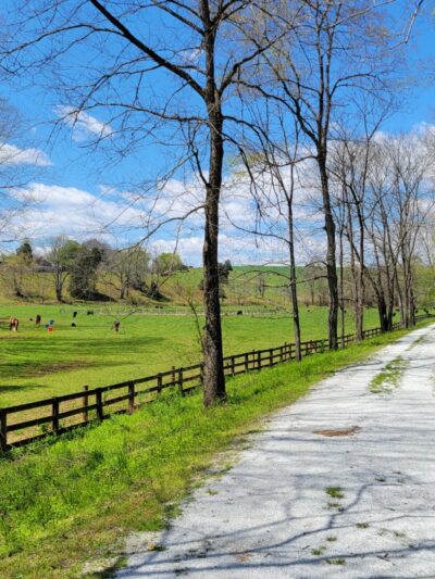 Virginia Blue Ridge Railway Trail Rose Mill Trail Head - Amherst, VA