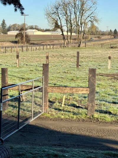 WILD RIDE Dog Park - Amity, OR