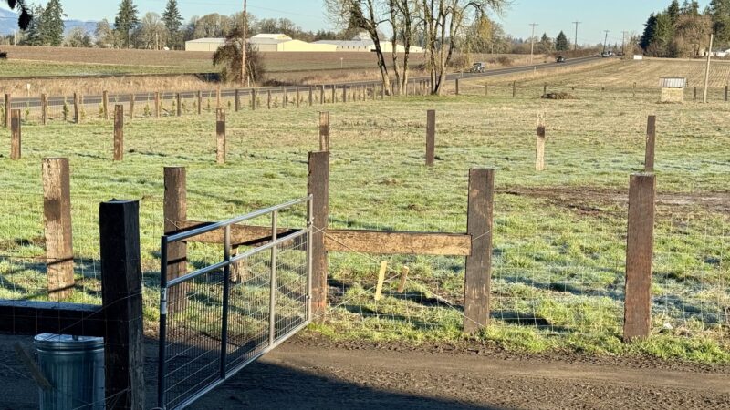 WILD RIDE Dog Park - Amity, OR