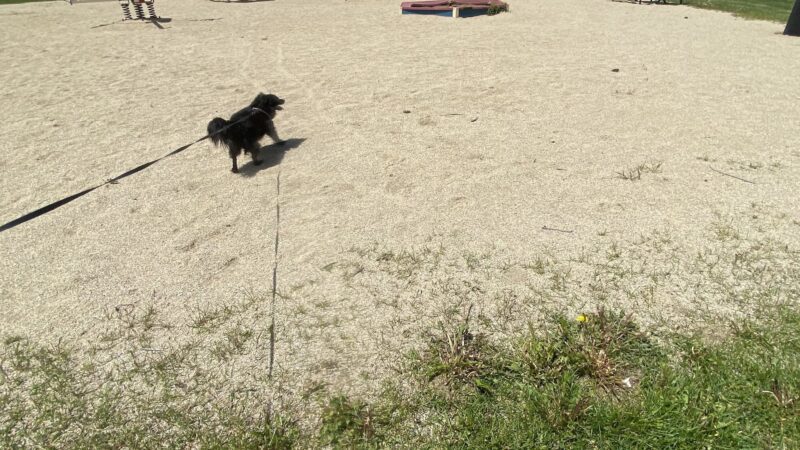Benny Goodman Park - Anaconda, MT
