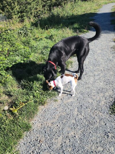 Ace Of Hearts Rotary Park - Anacortes, WA