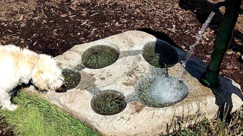 Ace Of Hearts Rotary Park - Anacortes, WA