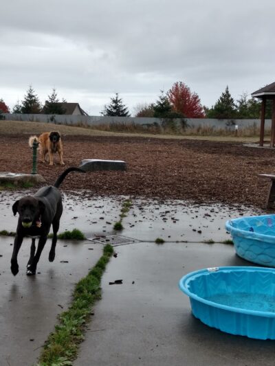 Ace Of Hearts Rotary Park - Anacortes, WA