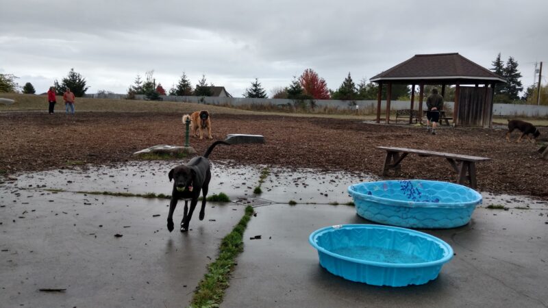 Ace Of Hearts Rotary Park - Anacortes, WA