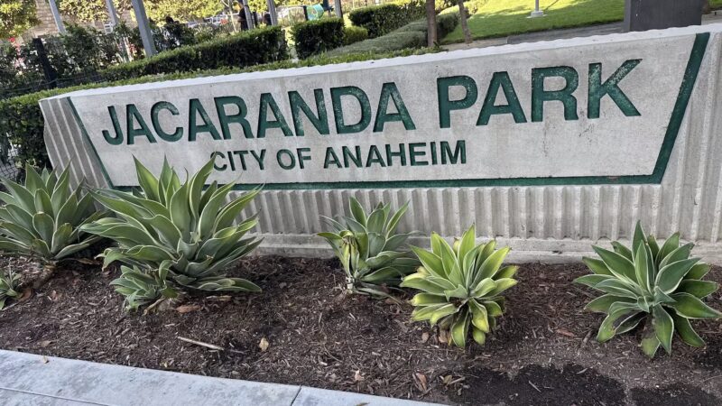 Jacaranda Park & Dog Park - Anaheim, CA