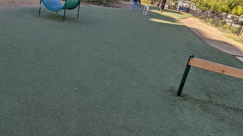 Jacaranda Park & Dog Park - Anaheim, CA