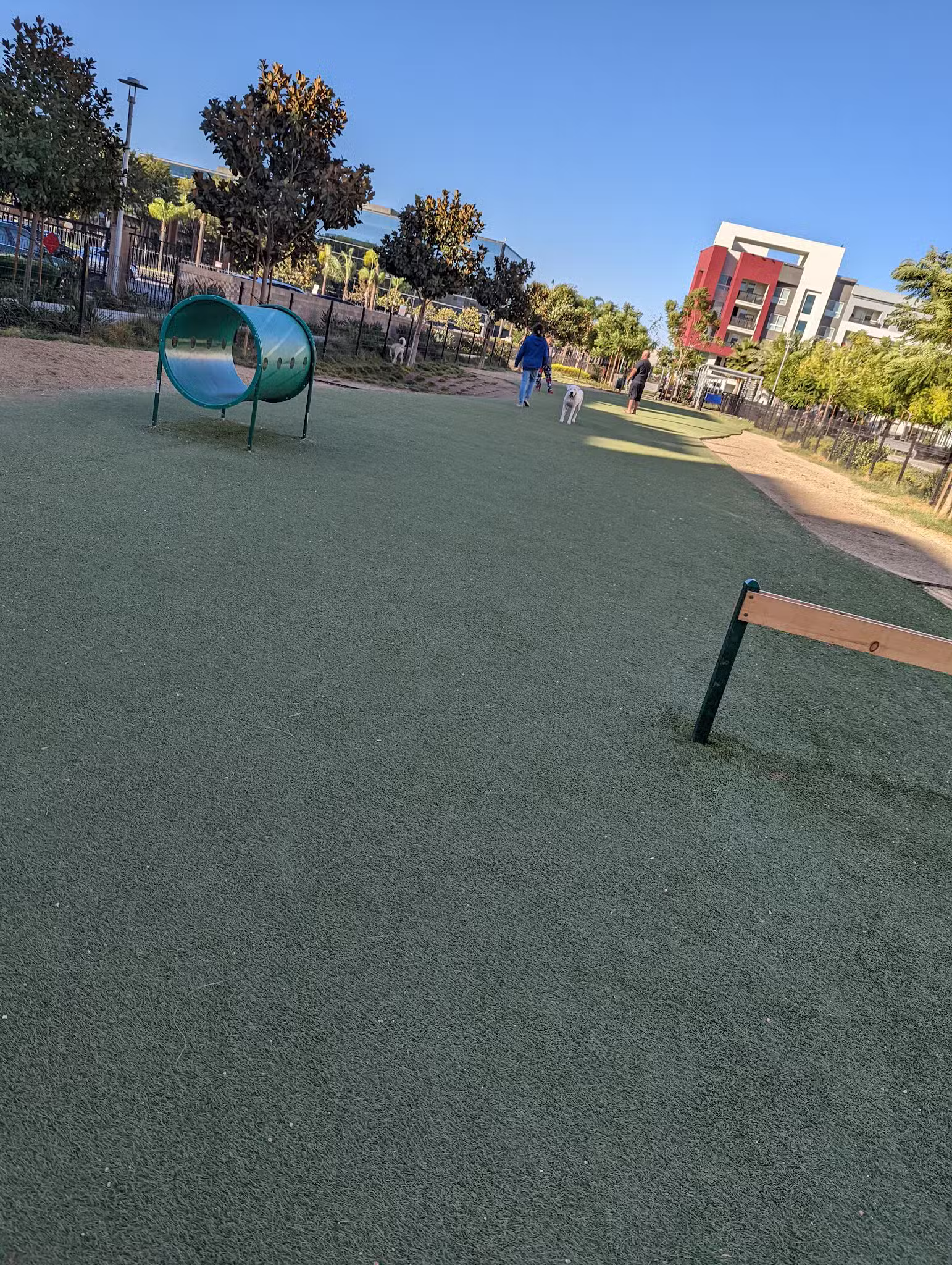 Jacaranda Park & Dog Park - Anaheim, CA