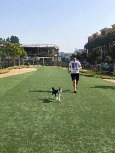 Jacaranda Park & Dog Park - Anaheim, CA