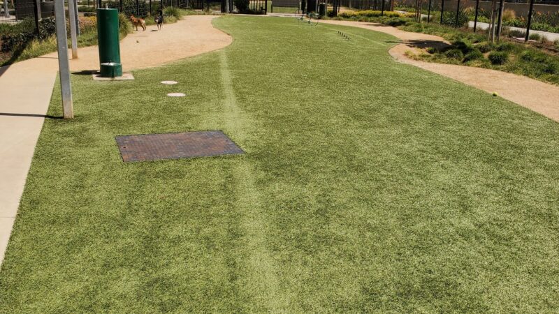 Jacaranda Park & Dog Park - Anaheim, CA