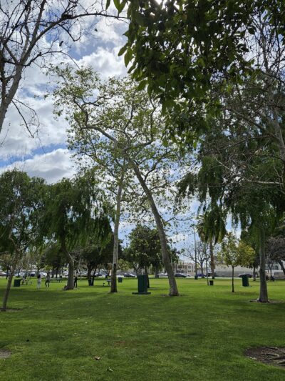 La Palma Dog Park - Anaheim, CA