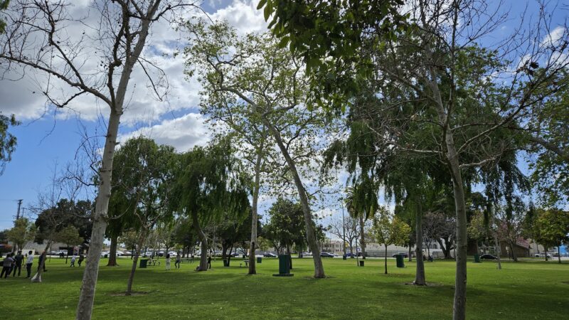 La Palma Dog Park - Anaheim, CA