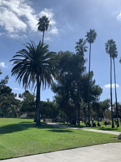 La Palma Park - Anaheim, CA