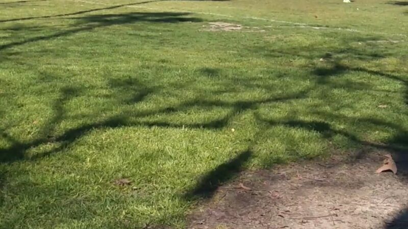 La Palma Park - Anaheim, CA