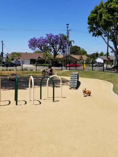 Maxwell Dog Park - Anaheim, CA