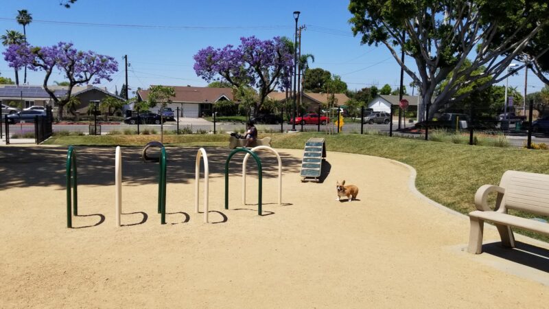 Maxwell Dog Park - Anaheim, CA