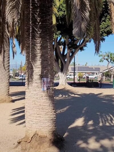 Maxwell Dog Park - Anaheim, CA