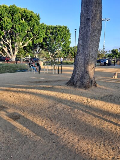 Maxwell Dog Park - Anaheim, CA