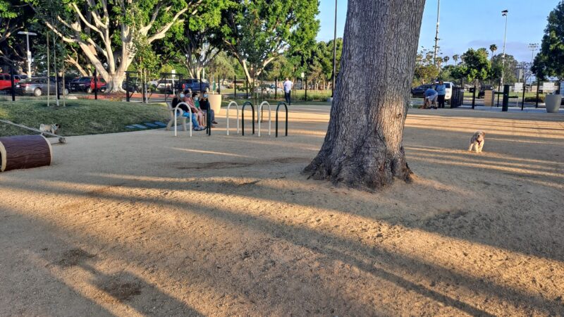 Maxwell Dog Park - Anaheim, CA