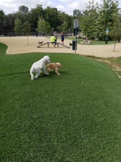 Olive Hills Park - Anaheim, CA