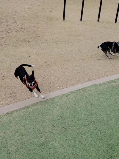 Olive Hills Park - Anaheim, CA