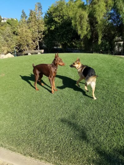 Olive Hills Park - Anaheim, CA