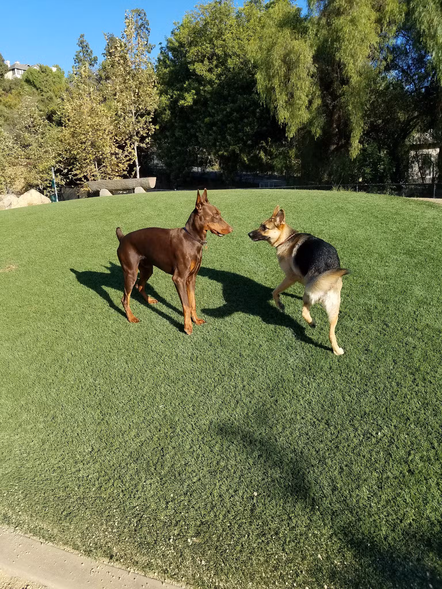 Olive Hills Park - Anaheim, CA