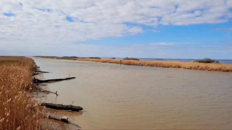 Fort Anahuac Park - Anahuac, TX