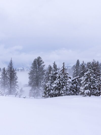 Fields Spring State Park - Anatone, WA