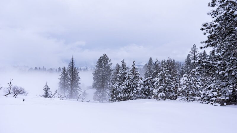 Fields Spring State Park - Anatone, WA