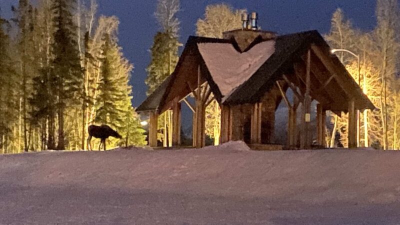 Abbott Loop Community Park - Anchorage, AK