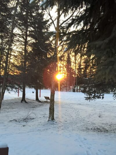 Arctic Benson Park - Anchorage, AK