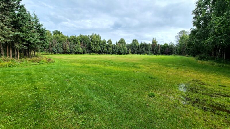 Bancroft Park - Anchorage, AK