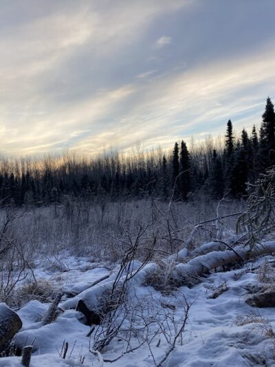 Baxter Bog Park - Anchorage, AK