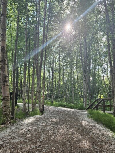 Baxter Bog Park - Anchorage, AK