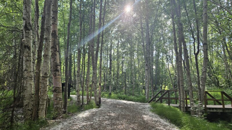 Baxter Bog Park - Anchorage, AK