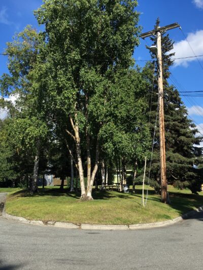 Coffey Park - Anchorage, AK