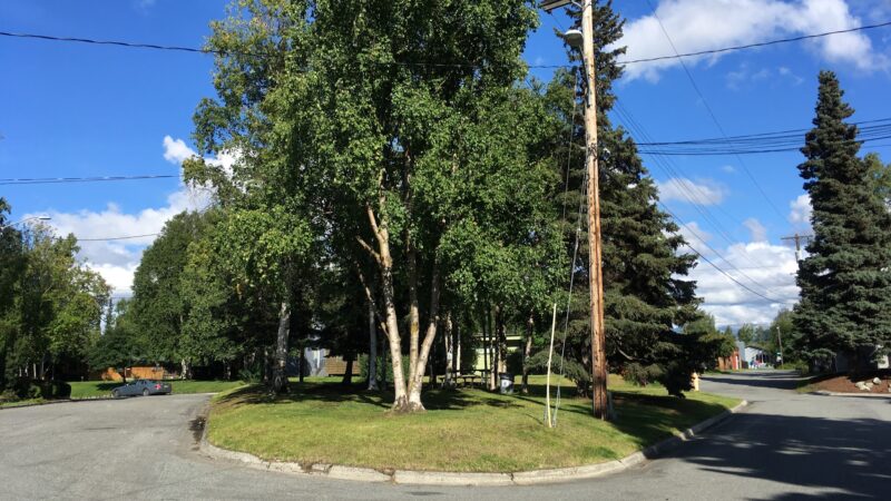 Coffey Park - Anchorage, AK