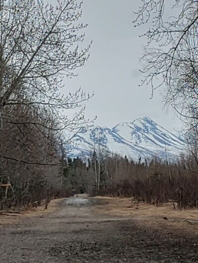 Connors Bog Park - Anchorage, AK