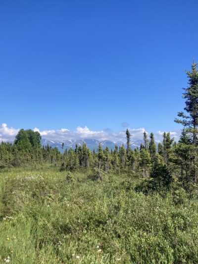 Connors Bog Park - Anchorage, AK