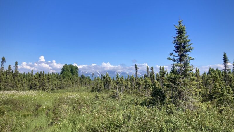 Connors Bog Park - Anchorage, AK