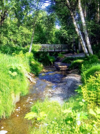 Johns Park - Anchorage, AK