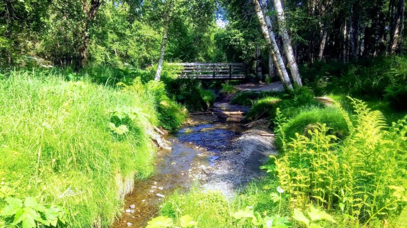 Johns Park - Anchorage, AK