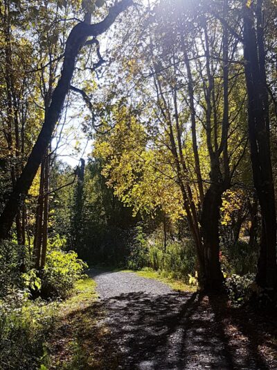 Johns Park - Anchorage, AK