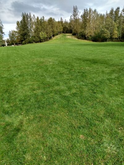 Moose Sled Hill - Anchorage, AK