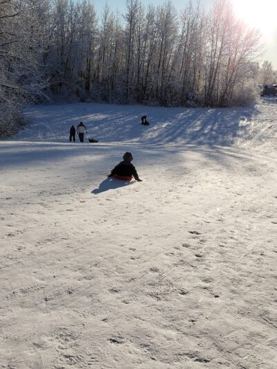 Moose Sled Hill - Anchorage, AK