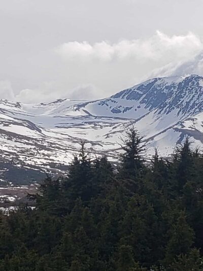 Nadine Park - Anchorage, AK
