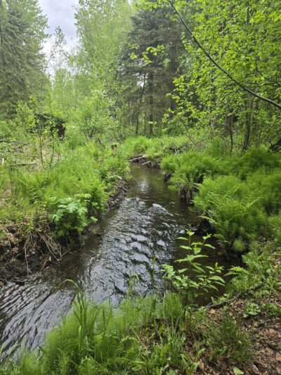 Nadine Park - Anchorage, AK