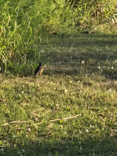 Nadine Park - Anchorage, AK