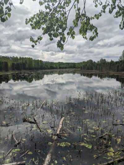 Pfleiger Park - Anchorage, AK